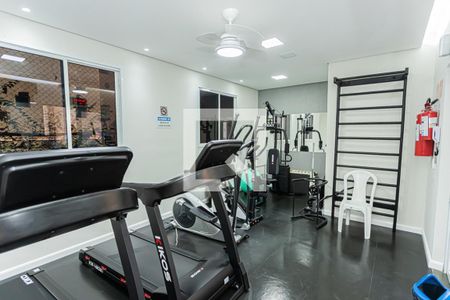 Área comum - Academia de apartamento para alugar com 2 quartos, 51m² em Jardim Íris, São Paulo