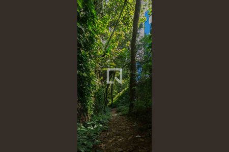 Apartamento para alugar com 60m², 2 quartos e 1 vaga Apartamento para alugar com 60m², 2 quartos e 1 vagaTrilha