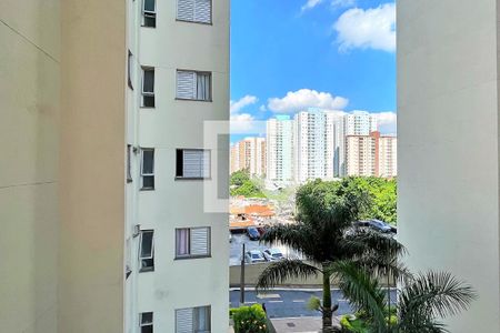 Apartamento à venda com 64m², 3 quartos e 1 vagaVista do Quarto 3