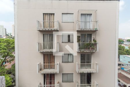 Apartamento à venda com 50m², 3 quartos e sem vagaVista do Quarto 1