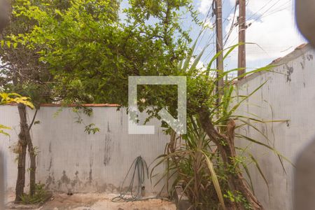 Vista da Suíte de casa para alugar com 4 quartos, 304m² em Parque Santa Bárbara, Campinas