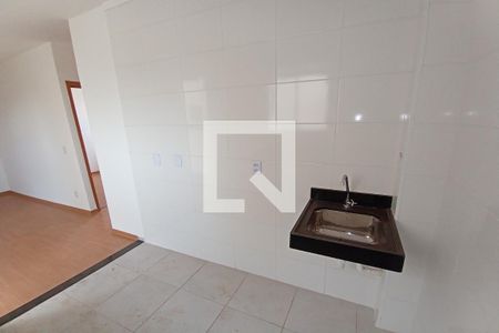 Cozinha - Lavanderia de apartamento para alugar com 2 quartos, 50m² em Recreio das Acacias, Ribeirão Preto