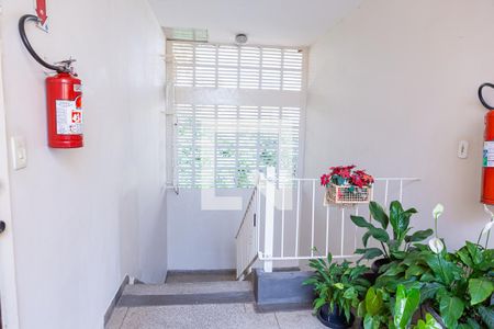 Apartamento à venda com 54m², 2 quartos e 1 vagaÁrea comum