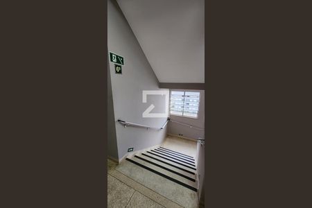 Apartamento para alugar com 190m², 4 quartos e 1 vaga Apartamento para alugar com 190m², 4 quartos e 1 vagaEscada