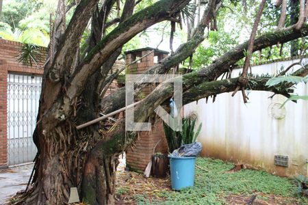 Casa para alugar com 315m², 3 quartos e 3 vagasQuintal