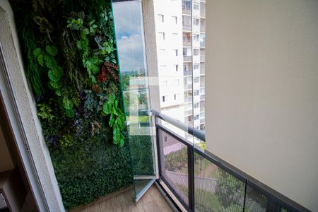 Sala - Sacada de apartamento para alugar com 3 quartos, 59m² em Parque Edu Chaves, São Paulo