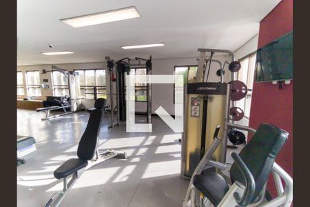 Apartamento para alugar com 70m², 2 quartos e 1 vaga Apartamento para alugar com 70m², 2 quartos e 1 vagaAcademia