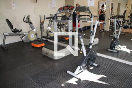 Apartamento para alugar com 55m², 2 quartos e 1 vaga Apartamento para alugar com 55m², 2 quartos e 1 vagaÁrea comum - Academia