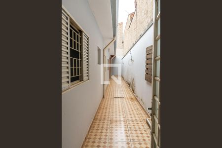 Casa para alugar com 150m², 3 quartos e 2 vagasQuintal-lateral da casa