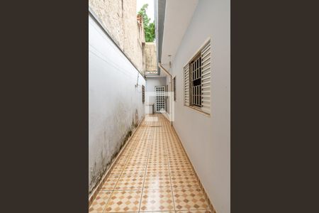 Casa para alugar com 150m², 3 quartos e 2 vagasQuintal-lateral da casa