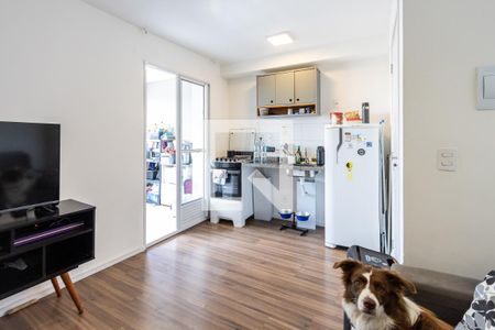 Sala de apartamento para alugar com 1 quarto, 35m² em Água Branca, São Paulo