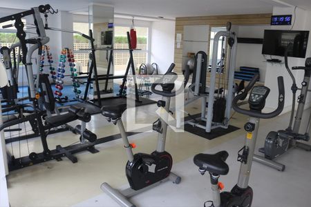 Apartamento à venda com 66m², 2 quartos e 1 vaga Apartamento à venda com 66m², 2 quartos e 1 vagaÁrea comum - Academia