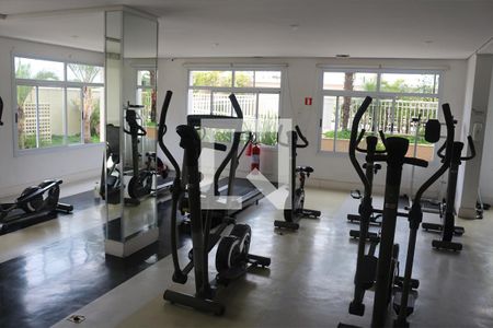 Apartamento à venda com 66m², 2 quartos e 1 vaga Apartamento à venda com 66m², 2 quartos e 1 vagaÁrea comum - Academia