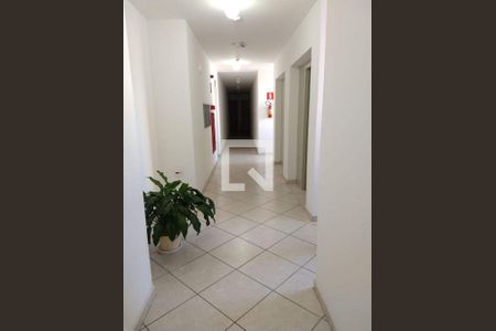 Apartamento para alugar com 2 quartos, 50m² em Vila Floresta, Santo André