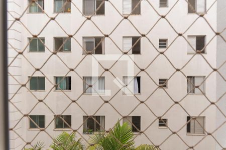 Vista da Sala de apartamento para alugar com 2 quartos, 49m² em Jardim Márcia, Campinas