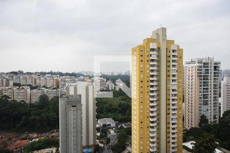 Vista de apartamento para alugar com 3 quartos, 330m² em Paraíso do Morumbi, São Paulo