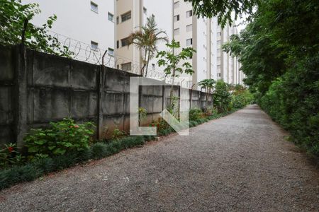 Apartamento à venda com 60m², 2 quartos e 1 vagaÁrea comum - Pista de caminhada