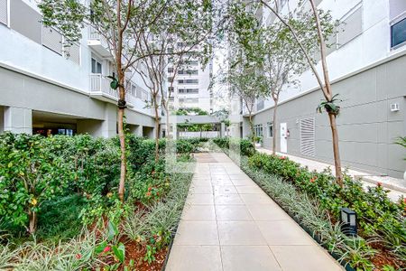 Área comum de apartamento para alugar com 2 quartos, 72m² em Brás, São Paulo