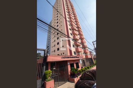 Fachada de apartamento para alugar com 3 quartos, 77m² em Itaquera, São Paulo