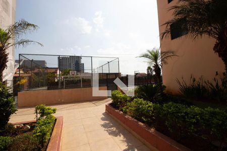 Área comum de apartamento para alugar com 3 quartos, 77m² em Itaquera, São Paulo