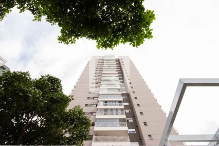 Área comum de apartamento para alugar com 2 quartos, 68m² em Cambuci, São Paulo