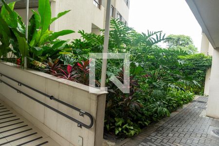 Apartamento para alugar com 65m², 2 quartos e 1 vagaÁrea comum - Jardim