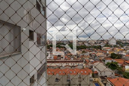 Vista Sala de apartamento para alugar com 2 quartos, 70m² em Vila Santana, São Paulo