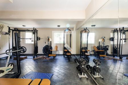 Apartamento para alugar com 63m², 3 quartos e 1 vaga Apartamento para alugar com 63m², 3 quartos e 1 vagaCondomínio - Academia