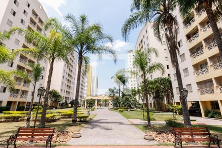 Apartamento para alugar com 63m², 3 quartos e 1 vaga Apartamento para alugar com 63m², 3 quartos e 1 vagaCondomínio - Fachada