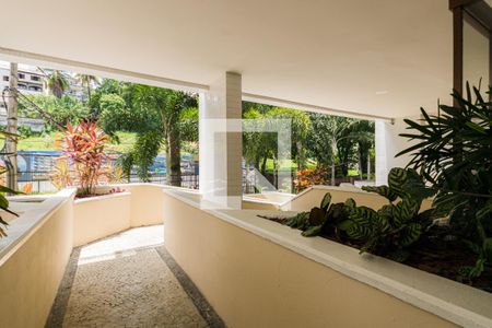 Apartamento para alugar com 66m², 2 quartos e 1 vagaÁrea Comum