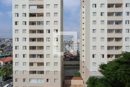 Vista do Quarto 1 de apartamento à venda com 2 quartos, 50m² em Sítio do Mandaqui, São Paulo