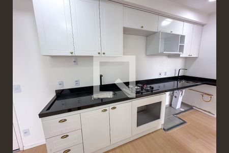 Cozinha de apartamento para alugar com 2 quartos, 34m² em Santa Cecilia, São Paulo