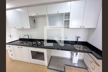 Cozinha - Armários de apartamento para alugar com 2 quartos, 34m² em Santa Cecilia, São Paulo