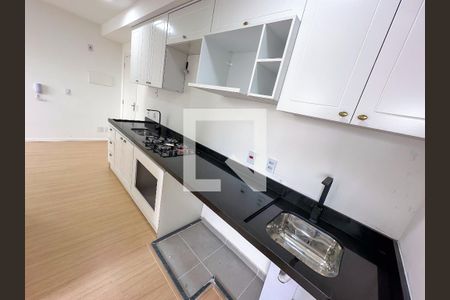 Cozinha - Armários de apartamento para alugar com 2 quartos, 34m² em Santa Cecilia, São Paulo