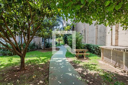 Apartamento para alugar com 69m², 2 quartos e 1 vaga Apartamento para alugar com 69m², 2 quartos e 1 vagaPista caminhada