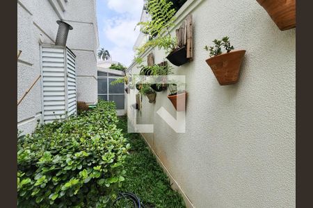 Casa para alugar com 224m², 4 quartos e 4 vagasQuintal 