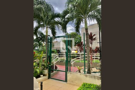 Apartamento para alugar com 59m², 3 quartos e 1 vagaBosque