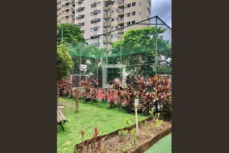 Apartamento para alugar com 59m², 3 quartos e 1 vagaQuadra Esportiva