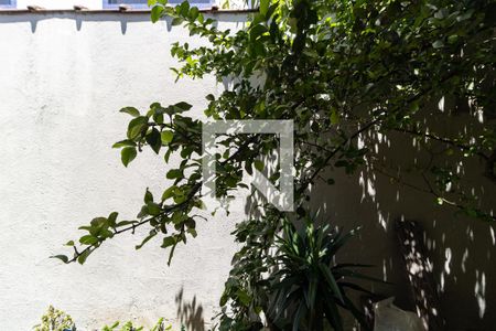 Casa à venda com 252m², 3 quartos e 3 vagasVista do Quarto 2