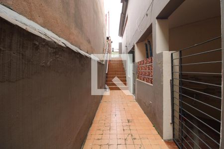 Apartamento para alugar com 40m², 1 quarto e sem vagaQuintal