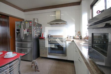 Apartamento à venda com 183m², 4 quartos e 4 vagasCozinha