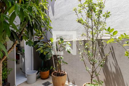 Casa à venda com 325m², 3 quartos e 4 vagasVista da Suíte 2