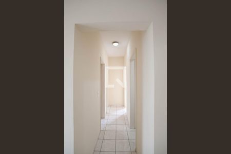 Corredor de apartamento para alugar com 3 quartos, 77m² em Santa Branca, Belo Horizonte