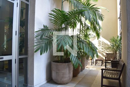 Apartamento para alugar com 212m², 1 quarto e 1 vagaÁrea comum