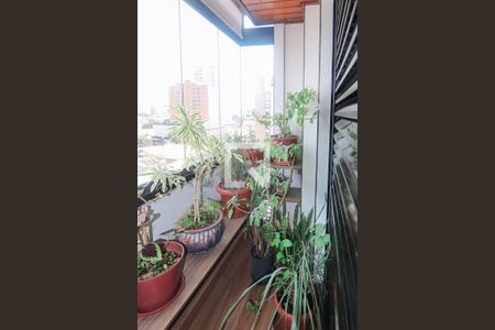 Apartamento para alugar com 145m², 3 quartos e 2 vagasSuíte 1