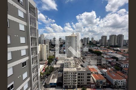 Studio de apartamento para alugar com 1 quarto, 25m² em Água Branca, São Paulo