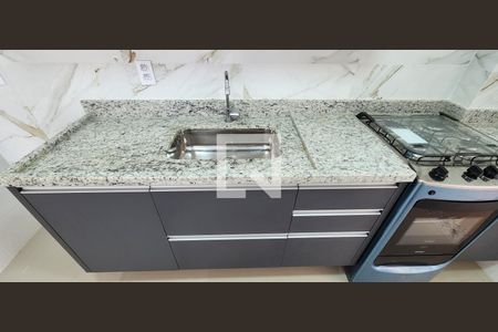 Apartamento para alugar com 53m², 2 quartos e 1 vagaCozinha - Armários