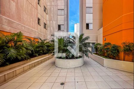 Área comum de apartamento para alugar com 2 quartos, 55m² em Vila Humaita, Santo André