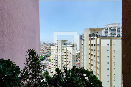 Vista da Suíte de apartamento à venda com 2 quartos, 75m² em Vila Santa Catarina, São Paulo