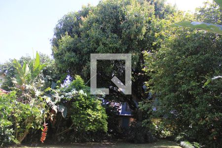 Casa para alugar com 128m², 3 quartos e 10 vagasQuintal